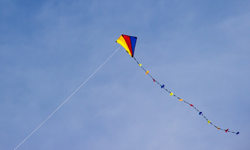 Kite flying in the sky
